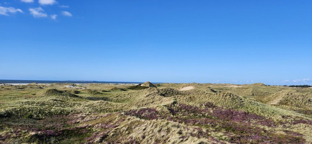 Hintere Dünenlandschaft